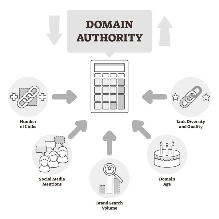 How is Domain Authority Calculated? A Step-by-Step Breakdown