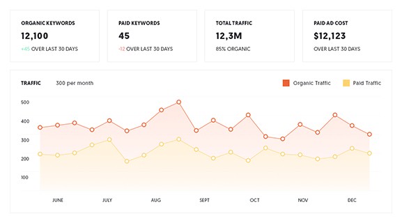 Automated SEO Reports: The Ultimate Guide to Streamline Your SEO Reporting
